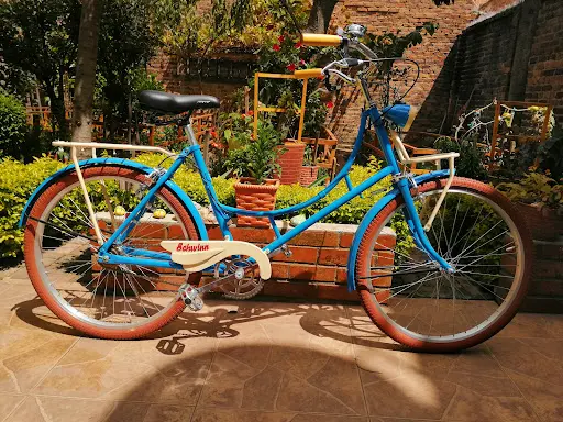 Imagen de Almacen De Bicicletas Campagnolo