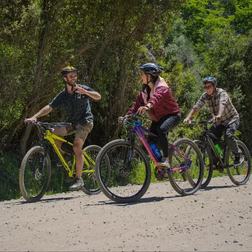 Imagen de Alquila Tu Bici