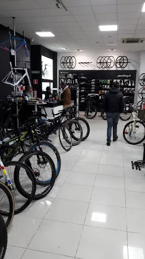 Imagen de Bh Concept Valencia