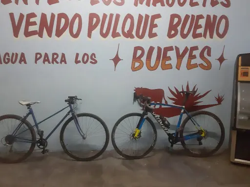Foto de Bi´alcho´ Cycling, tienda de bicicletas en Santiago de Queretaro