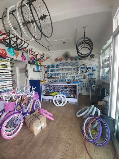 Imagen de Bici Albatros