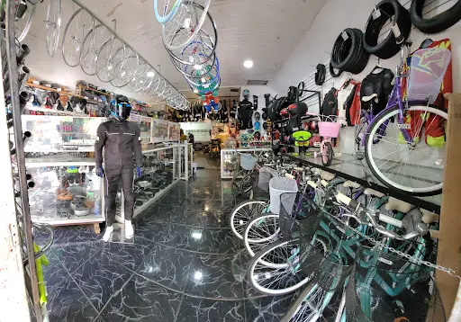 Imagen de Bici Danni Moto