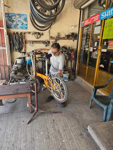 Imagen de Bici Partes Flavios