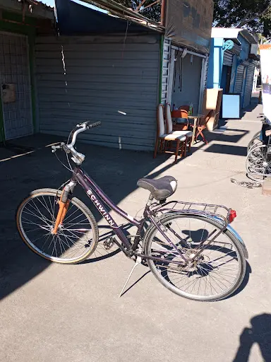 Imagen de Bici Pata