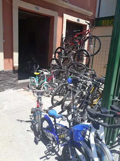 Imagen de Bici Polos