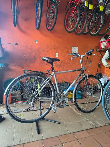 Imagen de Bici - Sur