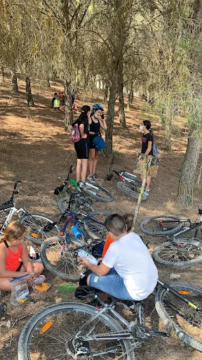Imagen de Bicicletartesanmateo