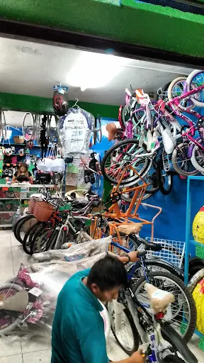 Imagen de Bicicletas Acero 1sur