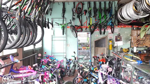 Imagen de Bicicletas Elite LG