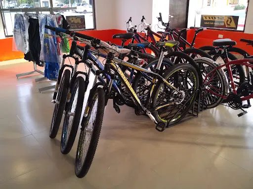 Imagen de Bicicletas Piluchos Cabo San Lucas