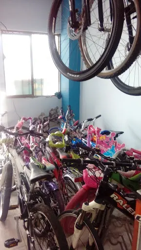 Imagen de Bicicletas Plinio
