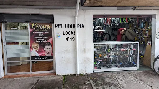 Foto de Bicicleteria Vidal, taller de bicicletas en Santa Cruz