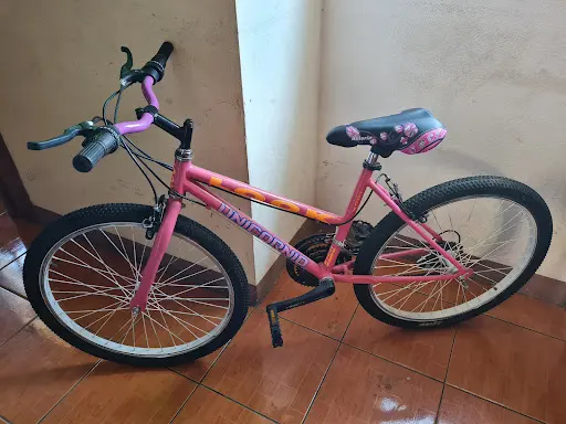 Imagen de Biciclo Oaxaca.