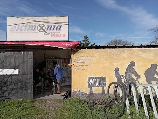 Imagen de Bicimanía Maule