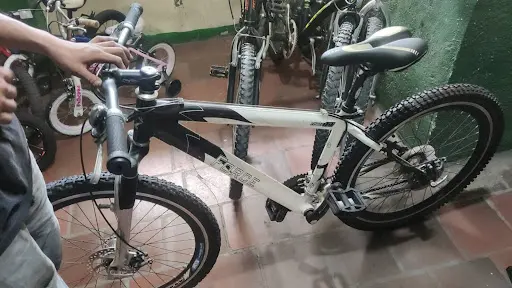 Imagen de Bicitaller Nieto