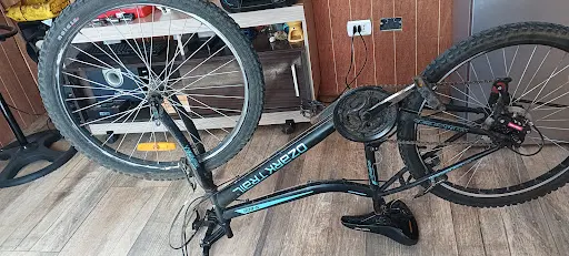 Imagen de Bicle Rapita