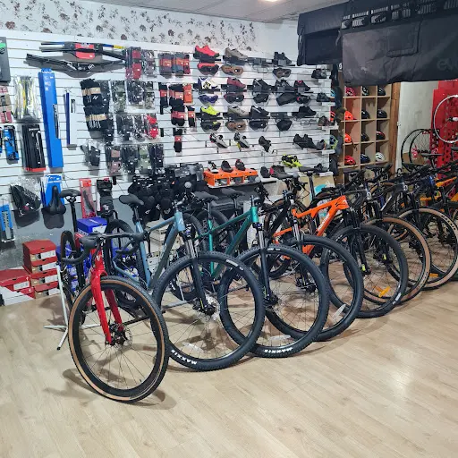 Imagen de Biker Donoso