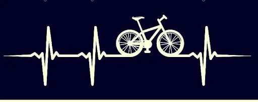 Foto de Bikes Only, taller de bicicletas en Santa Cruz