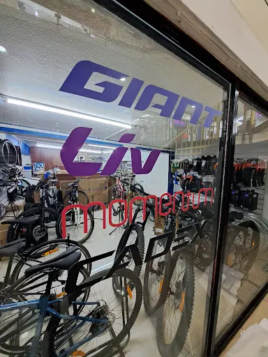 Imagen de Camel Bike