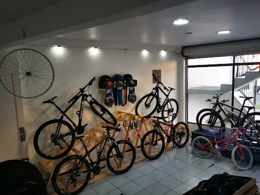 Imagen de Ciclo Kesler