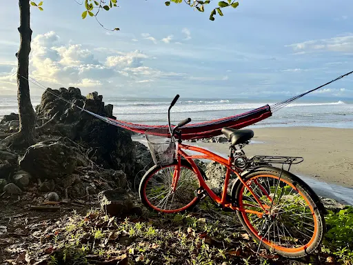 Imagen de Ciclo Pacific Bike