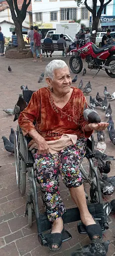 Imagen de Ciclo Rueda