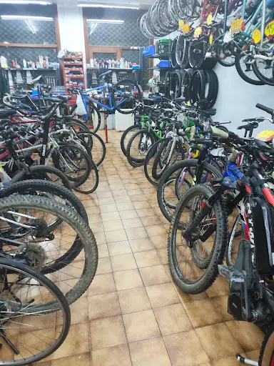 Foto de Ciclos Artilea, tienda de bicicletas en Lekeitio