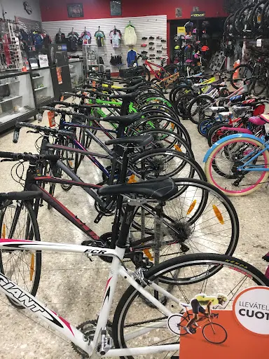 Imagen de Cycle Aces