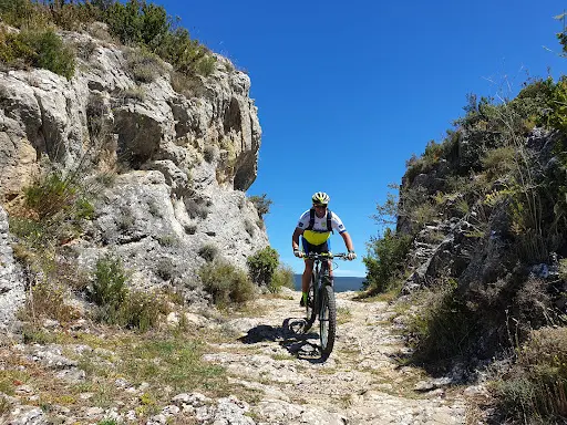 Imagen de Dani Multibicis