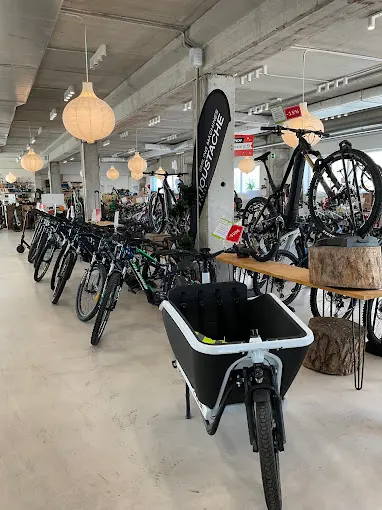 Imagen de Ebike.es