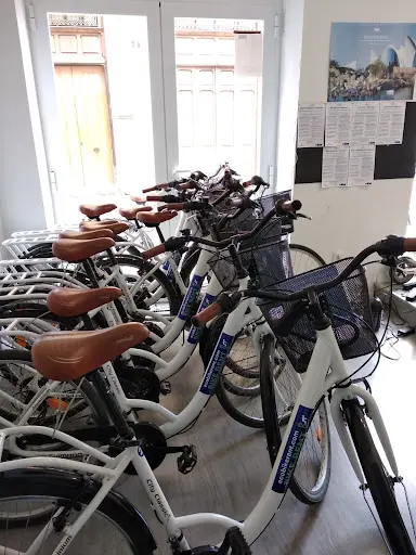 Foto de Ecobike Rent, alquiler de bicicletas en Valencia