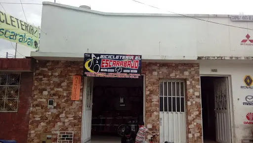 Imagen de El Escarabajo