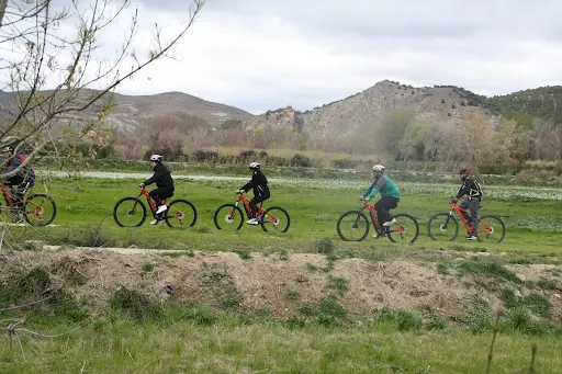 Imagen de Fitebike