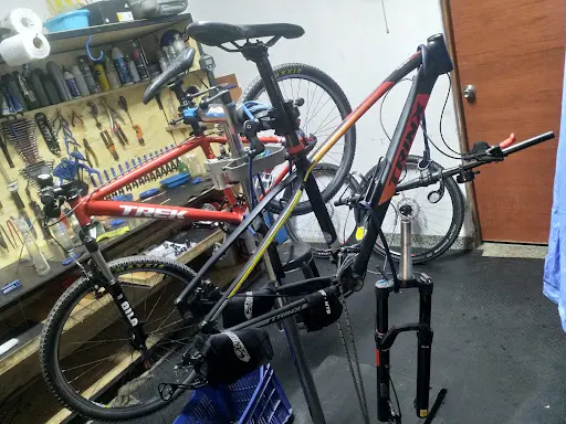 Imagen de Fox Bike