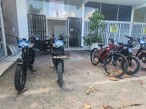 Imagen de Freewheel Tulum - Bikes & Boards
