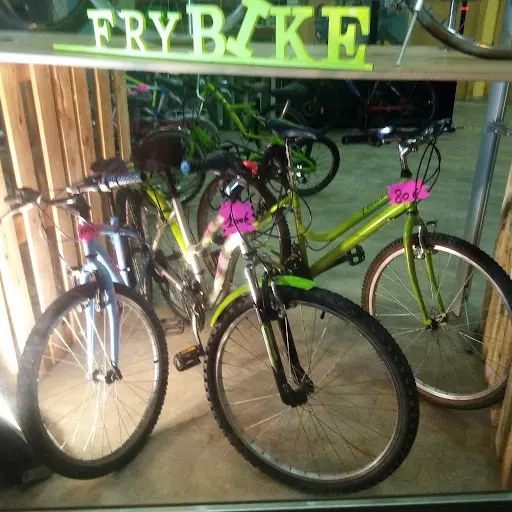 Imagen de Frybike