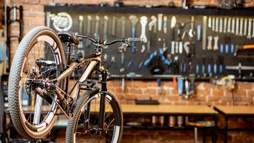 Imagen de Gokú Bike