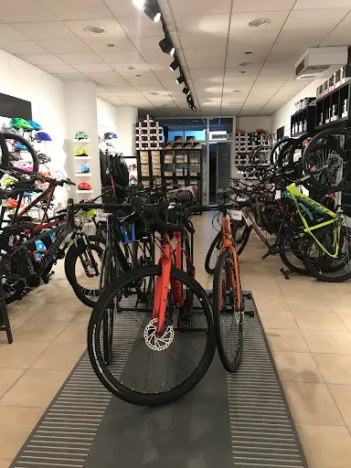 Imagen de Haro Riders