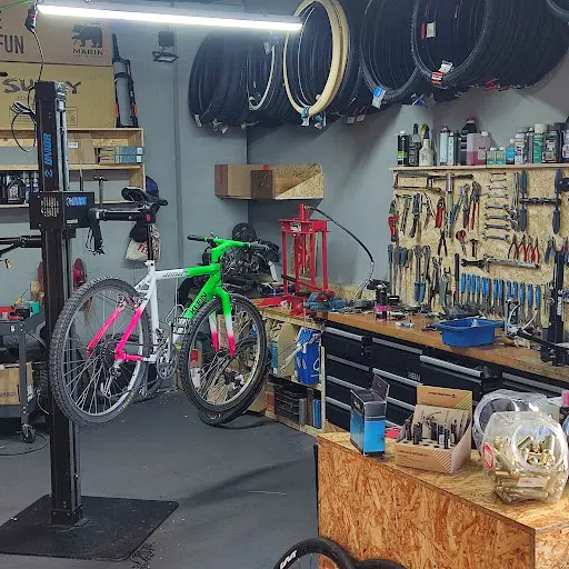 Imagen de Igor Bike Tailerra