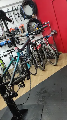 Imagen de La Bici Rota