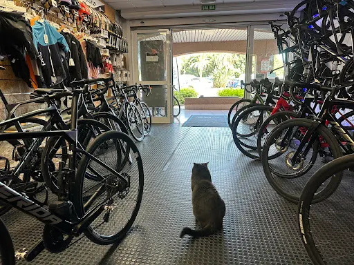 Imagen de Life On 2 Wheels Bike Center