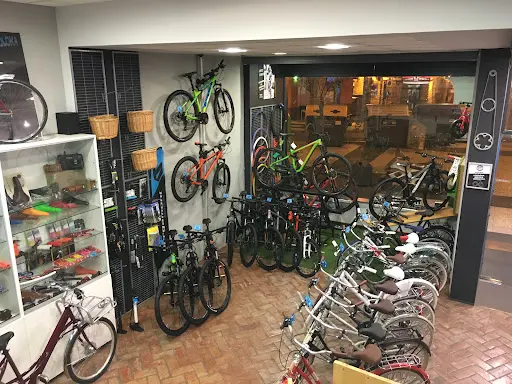 Imagen de Lokoloka