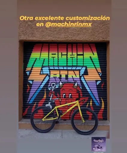 Imagen de Machin Rin