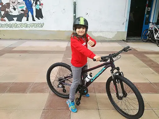 Imagen de Mujika Txirrinduak