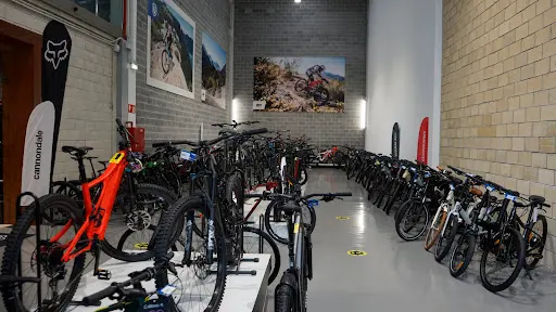 Imagen de Oiartzun E-bike Alegi
