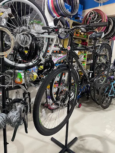 Imagen de Only Bikes