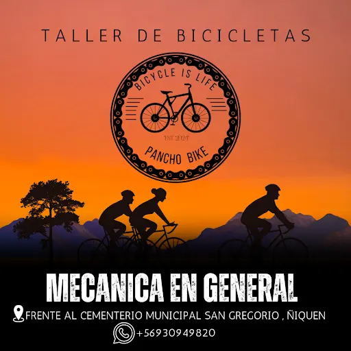 Foto de Pancho Bike, taller de bicicletas en Parral