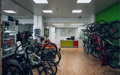 Imagen de Segundo Ciclo