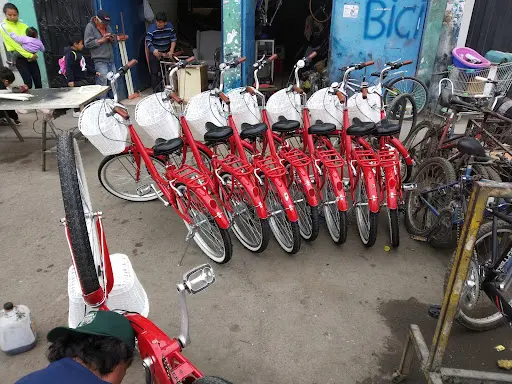 Imagen de Servitecnico De Bicicletas "Willy Betman
