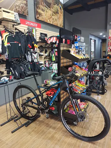 Imagen de Specialized Laguna. Comarcacycling